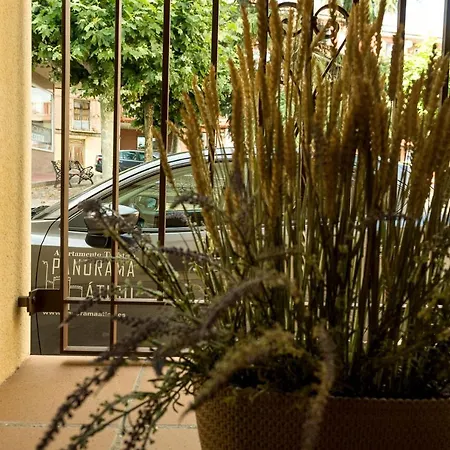 Panorama Apartment